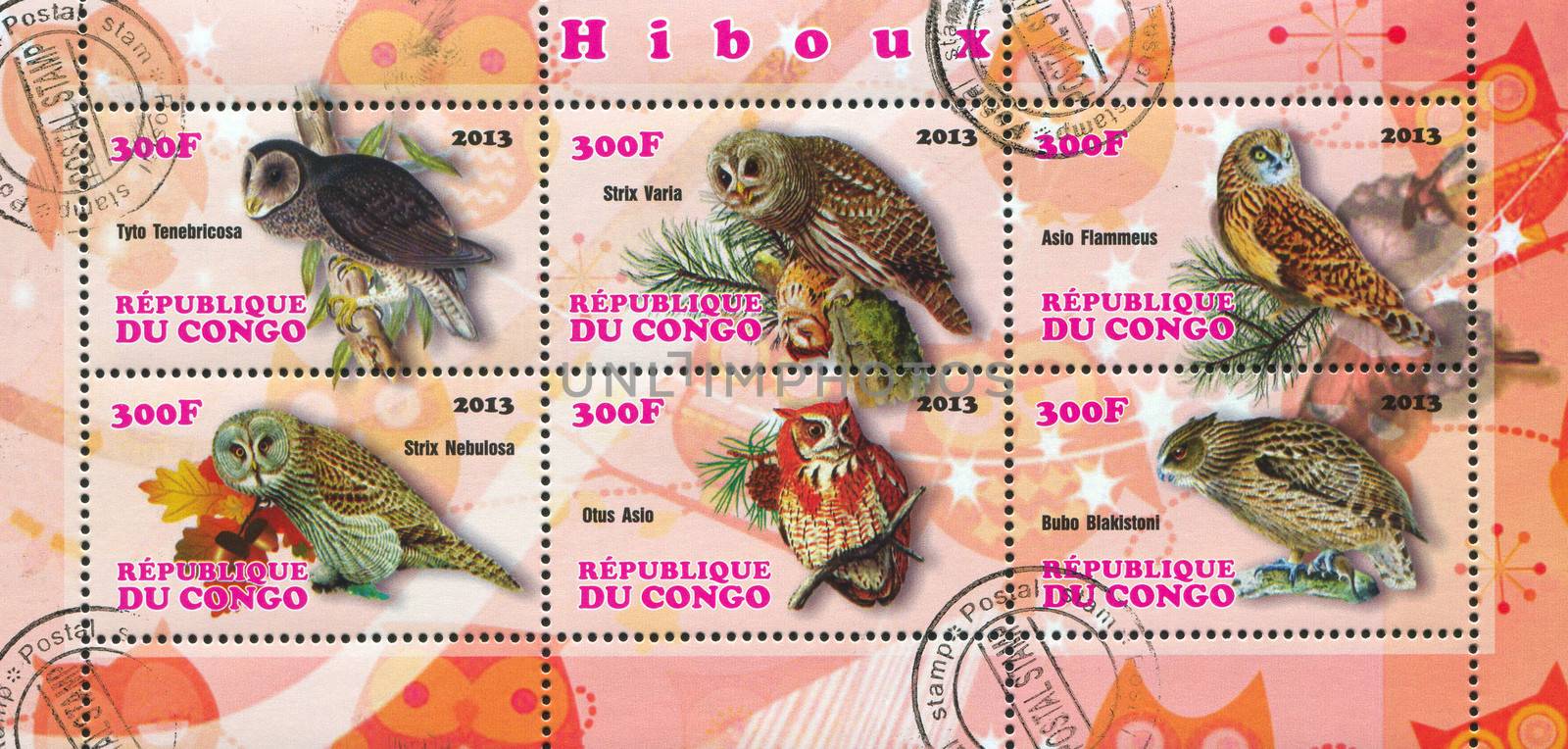 CONGO - CIRCA 2013: stamp printed by Congo, shows owl bird, circa 2013