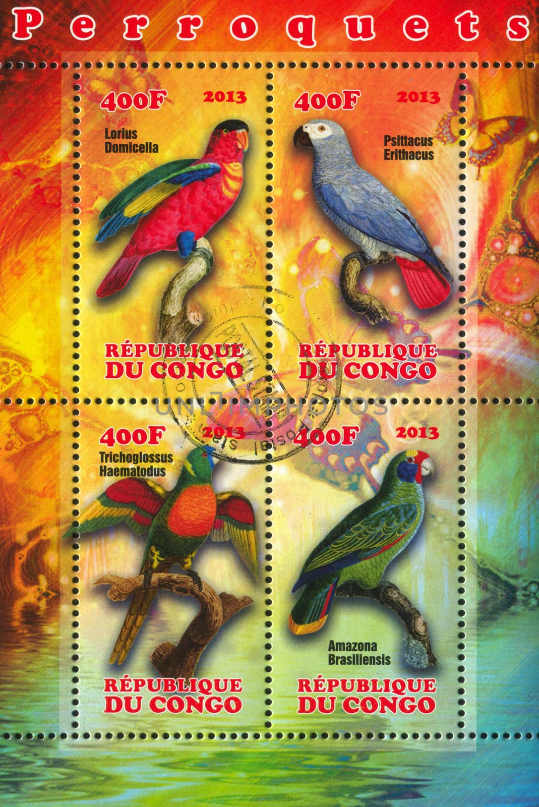 CONGO - CIRCA 2013: stamp printed by Congo, shows parrot, circa 2013