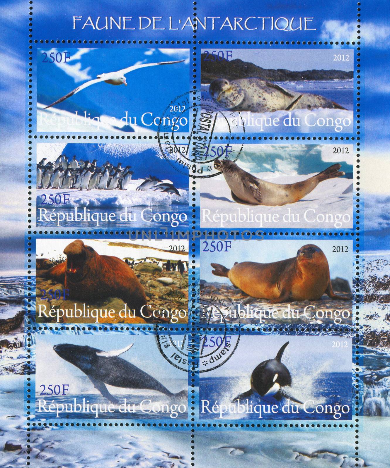 CONGO - CIRCA 2012: stamp printed by Congo, shows animal, circa 2012