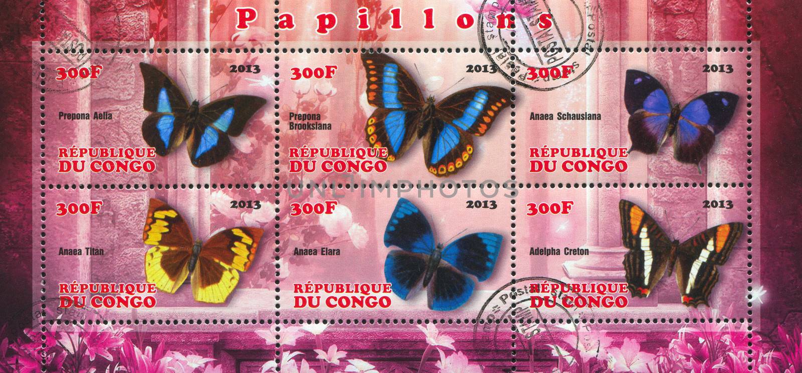 CONGO - CIRCA 2013: stamp printed by Congo, shows butterfly, circa 2013