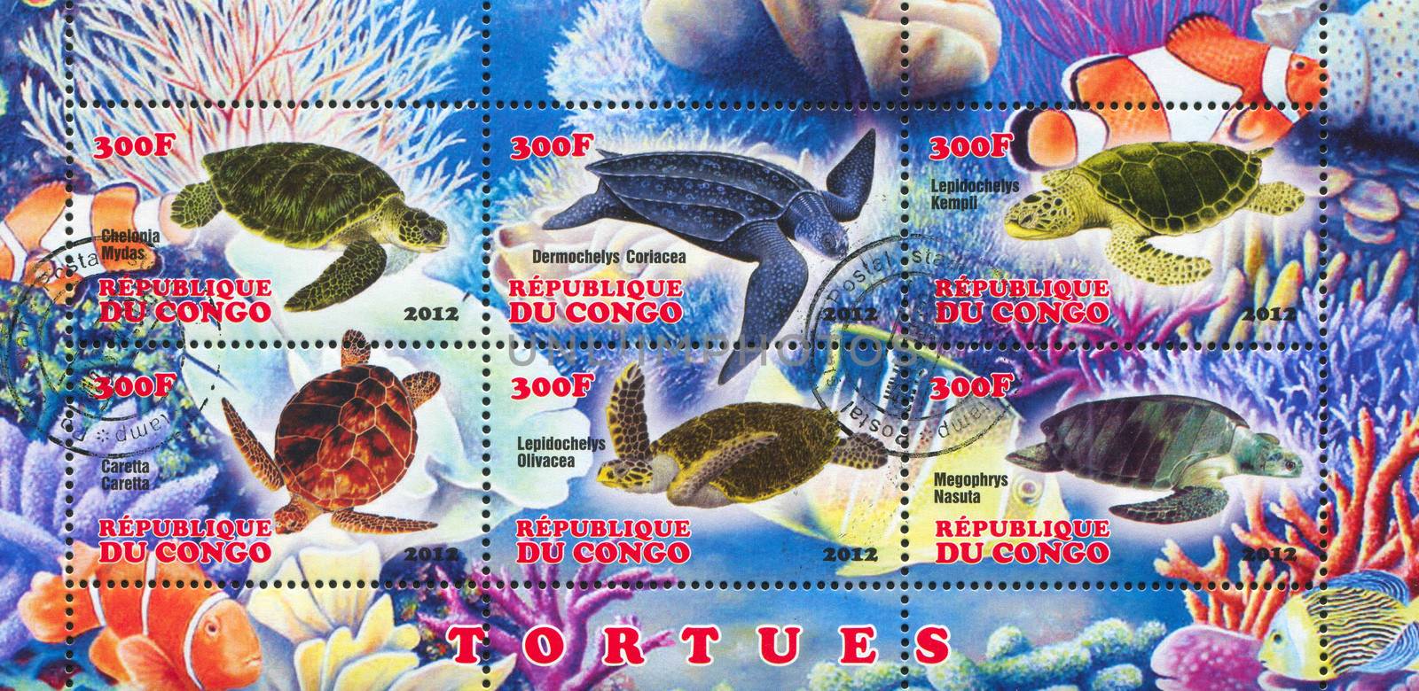 CONGO - CIRCA 2012: stamp printed by Congo, shows sea turtle, circa 2012