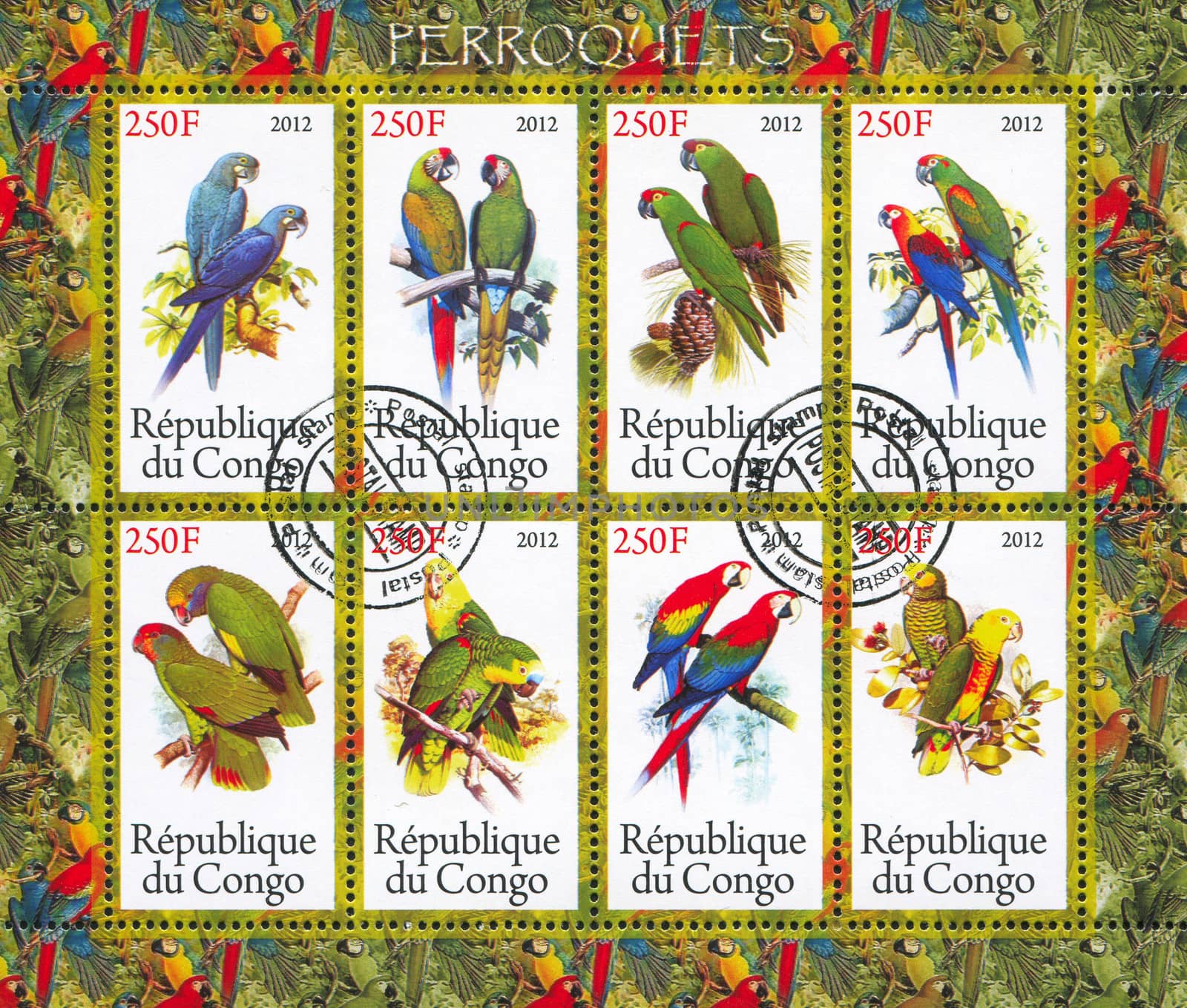 CONGO - CIRCA 2012: stamp printed by Congo, shows parrot, circa 2012