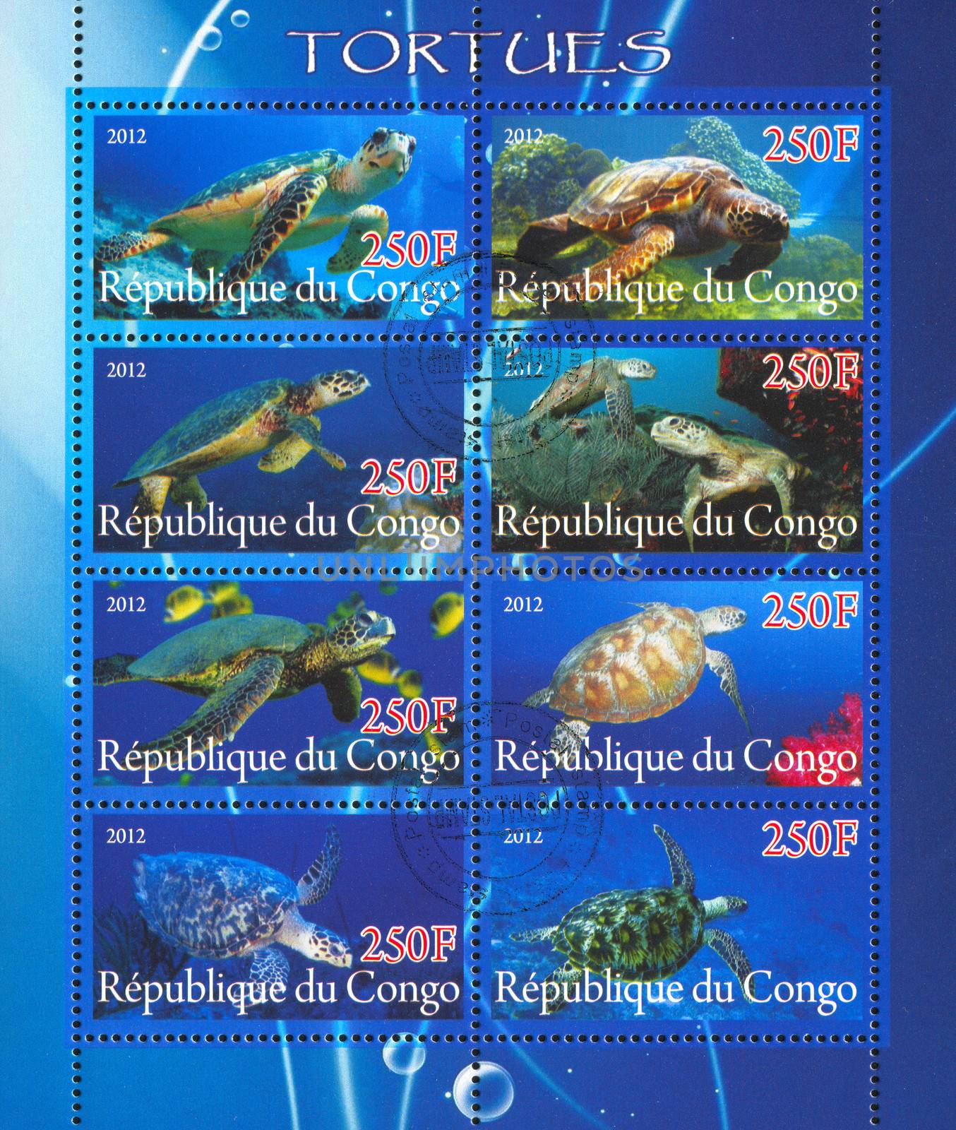 CONGO - CIRCA 2012: stamp printed by Congo, shows Turtle, circa 2012