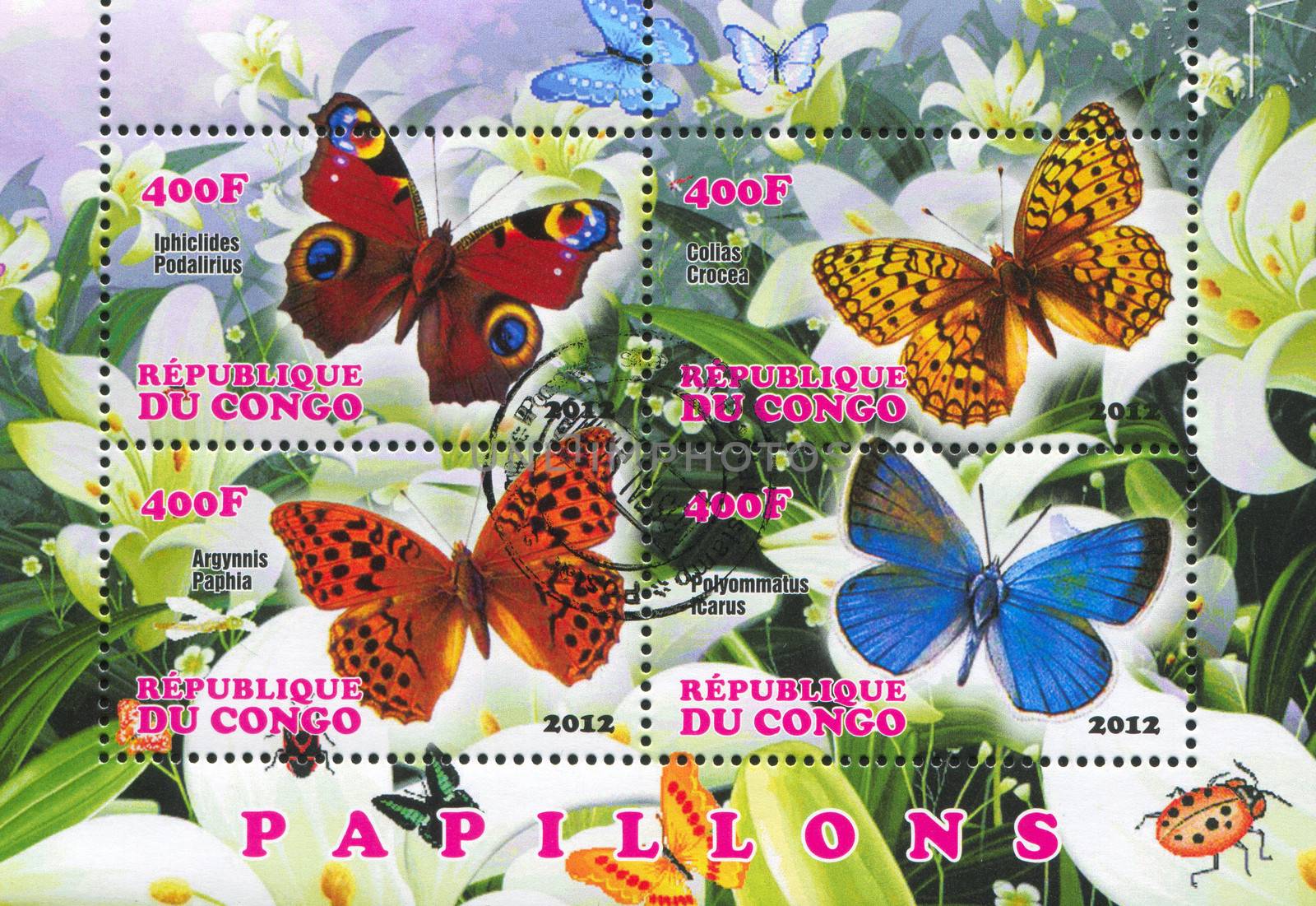 CONGO - CIRCA 2012: stamp printed by Congo, shows butterfly, circa 2012