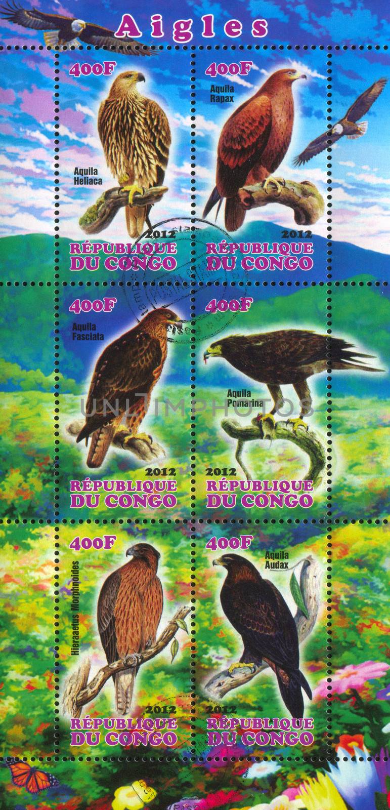 CONGO - CIRCA 2012: stamp printed by Congo, shows Eagle and Hawk, circa 2012