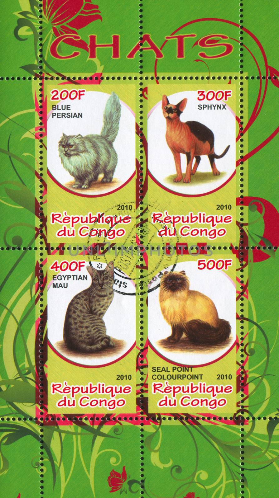 CONGO - CIRCA 2010: stamp printed by Congo, shows cats, circa 2010