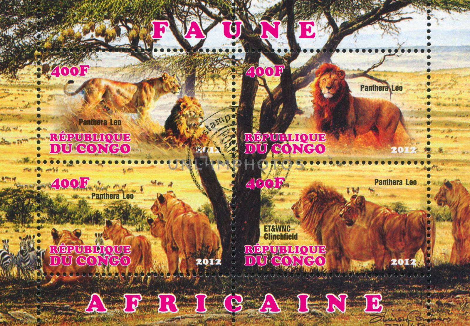 CONGO - CIRCA 2012: stamp printed by Congo, shows lion, circa 2012