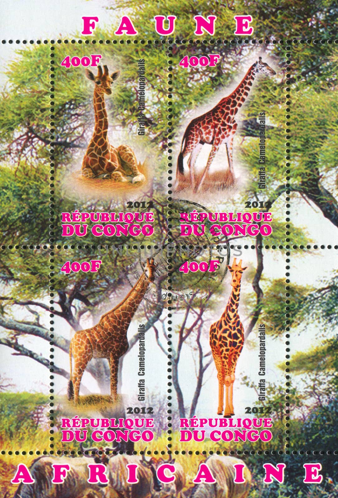 CONGO - CIRCA 2012: stamp printed by Congo, shows Giraffe, circa 2012