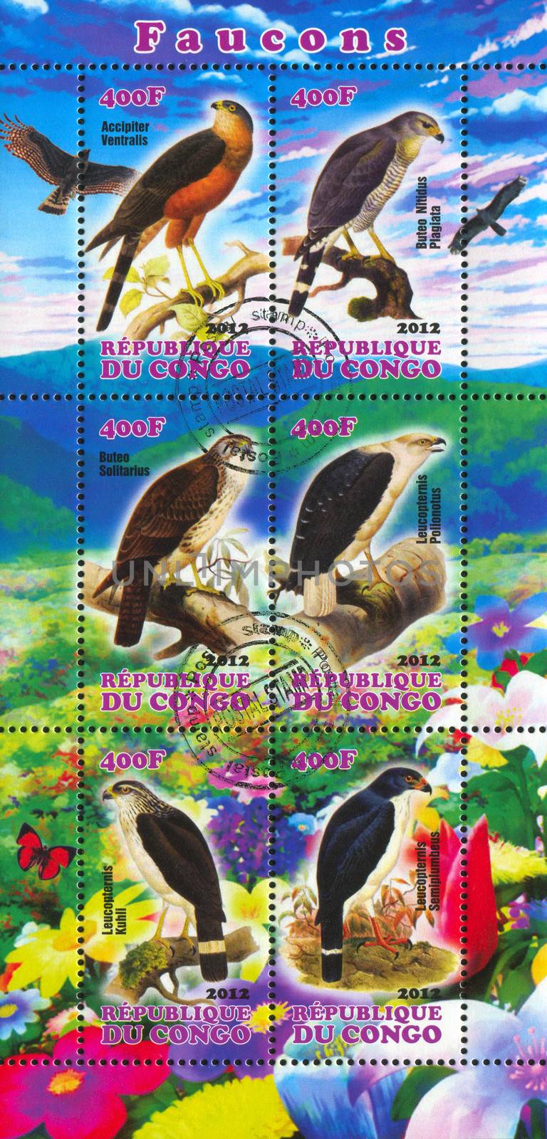 CONGO - CIRCA 2012: stamp printed by Congo, shows Eagle and Hawk, circa 2012