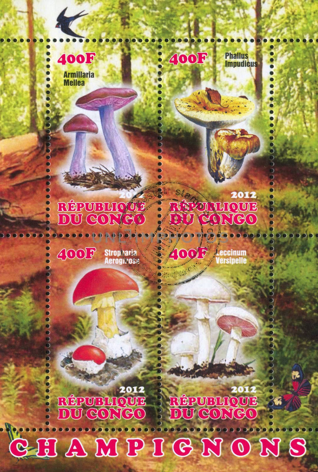 CONGO - CIRCA 2012: stamp printed by Congo, shows mushroom, circa 2012