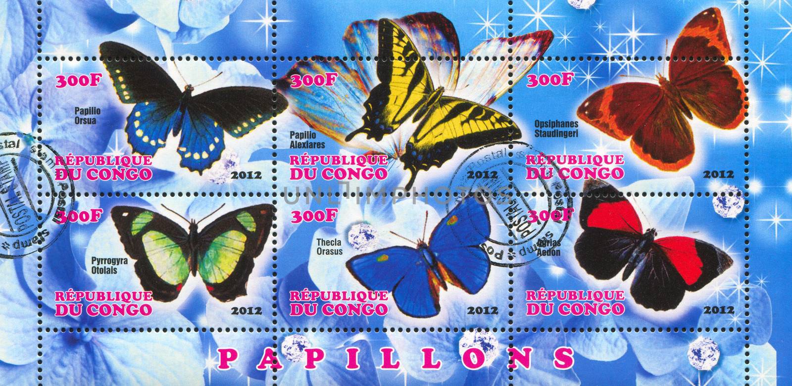 CONGO - CIRCA 2012: stamp printed by Congo, shows butterfly, circa 2012