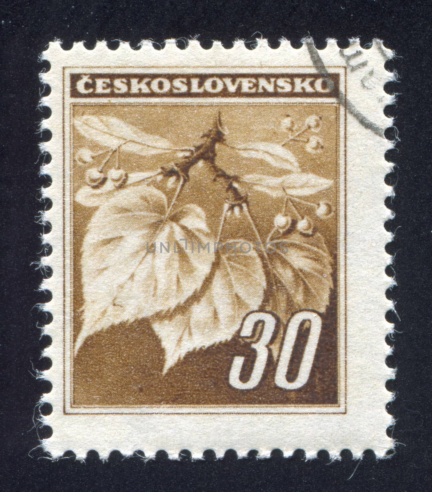 CZECHOSLOVAKIA - CIRCA 1939: stamp printed by Czechoslovakia, shows Linden Leaves and Buds, circa 1939