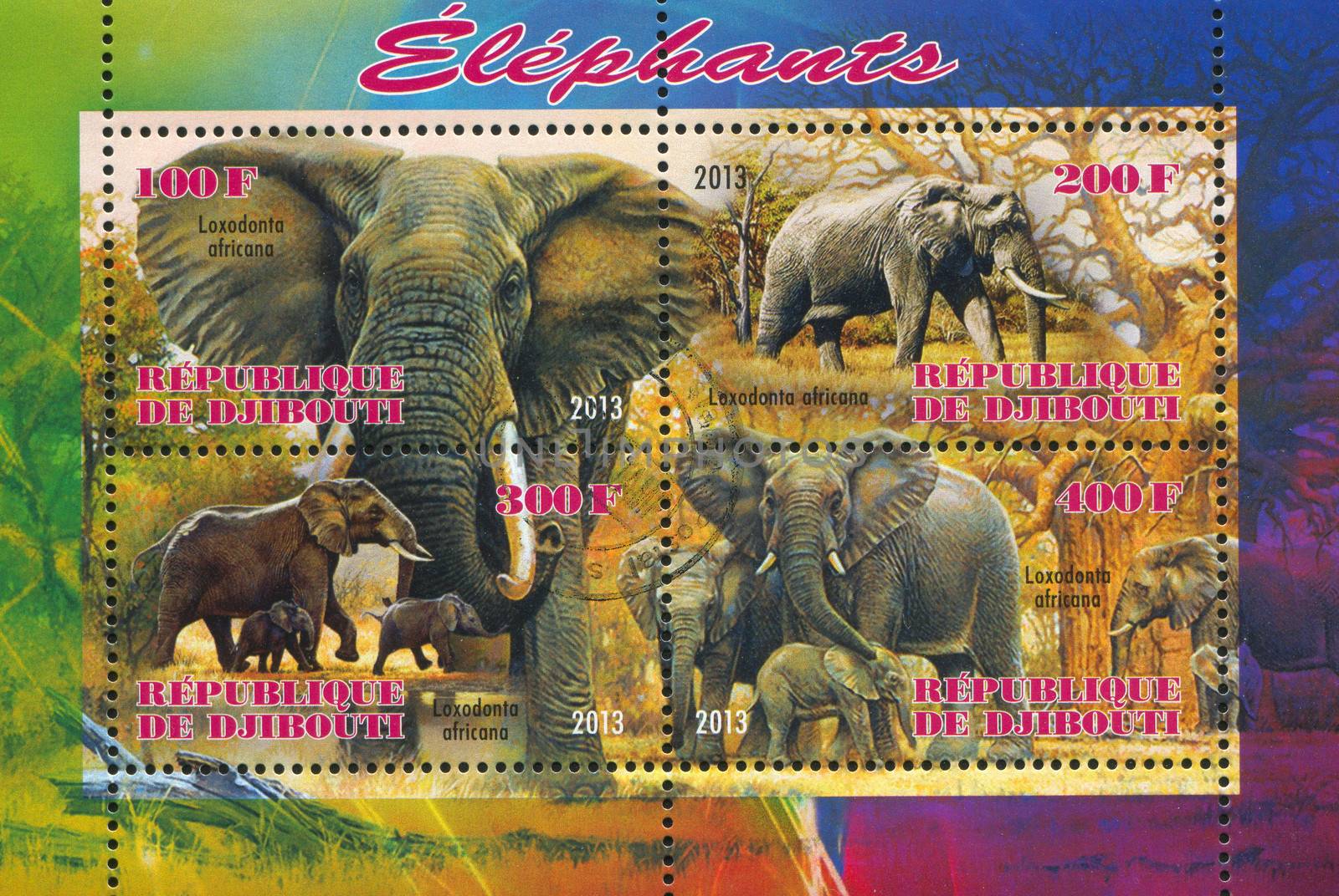 elephant by rook