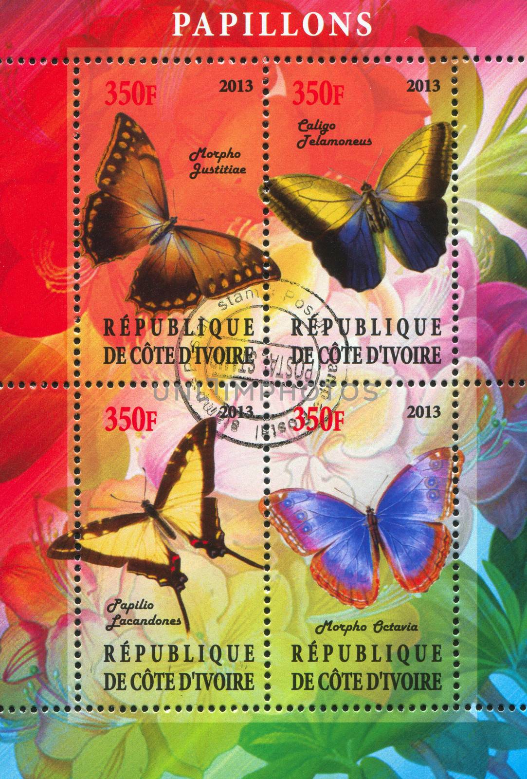IVORY COAST - CIRCA 2013: stamp printed by Ivory Coast, shows Butterfly, circa 2013