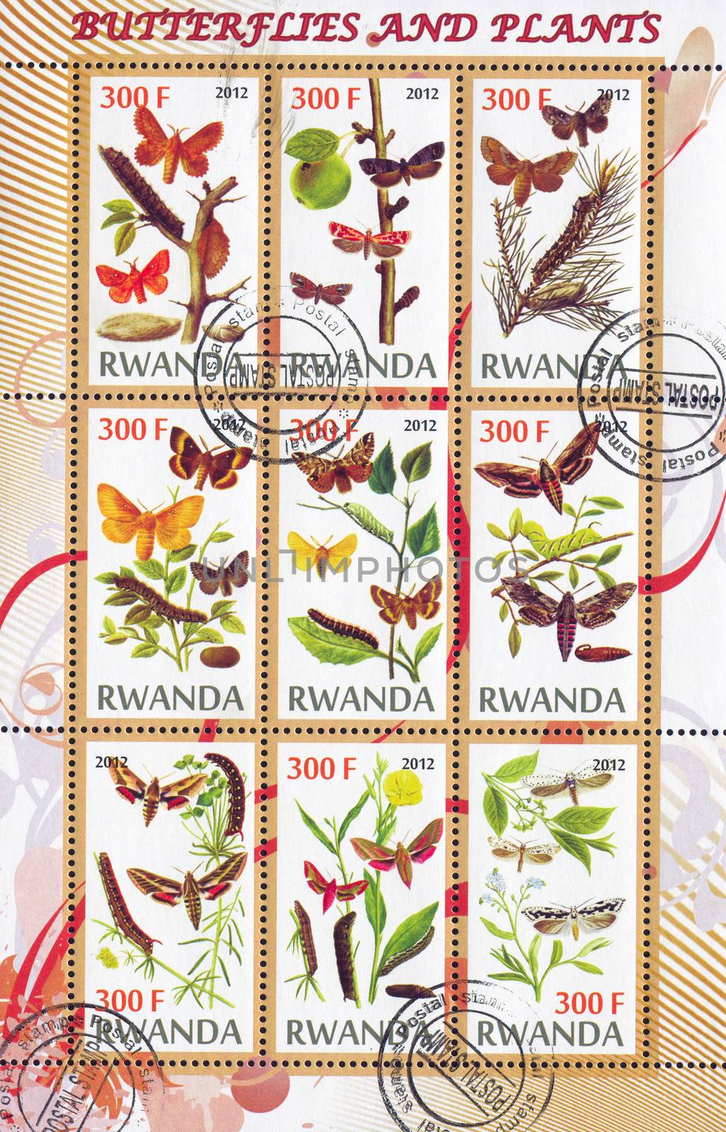 RWANDA - CIRCA 2012: stamp printed by Rwanda, shows Butterflies, circa 2012