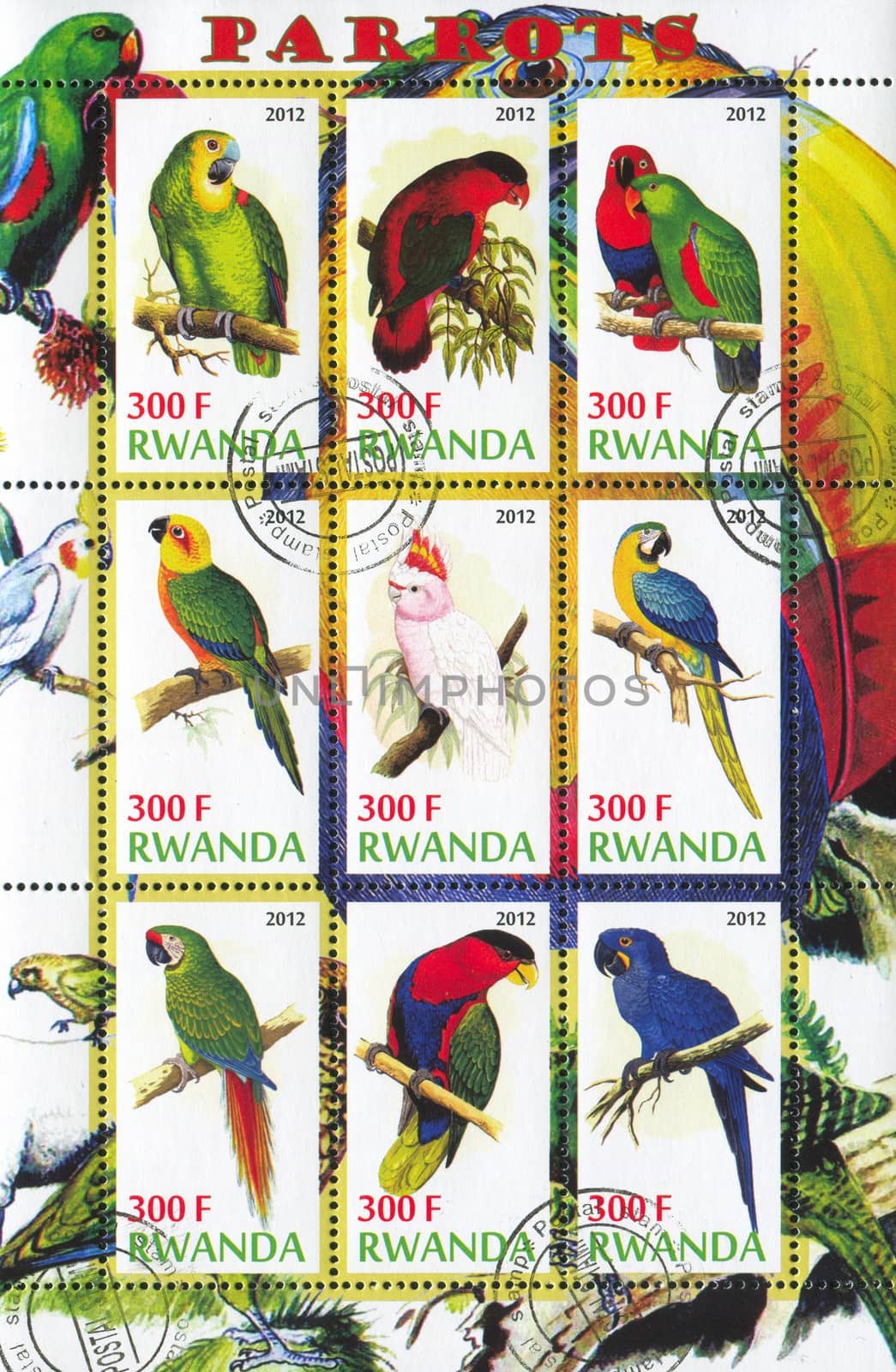 RWANDA - CIRCA 2012: stamp printed by Rwanda, shows Parrot, circa 2012