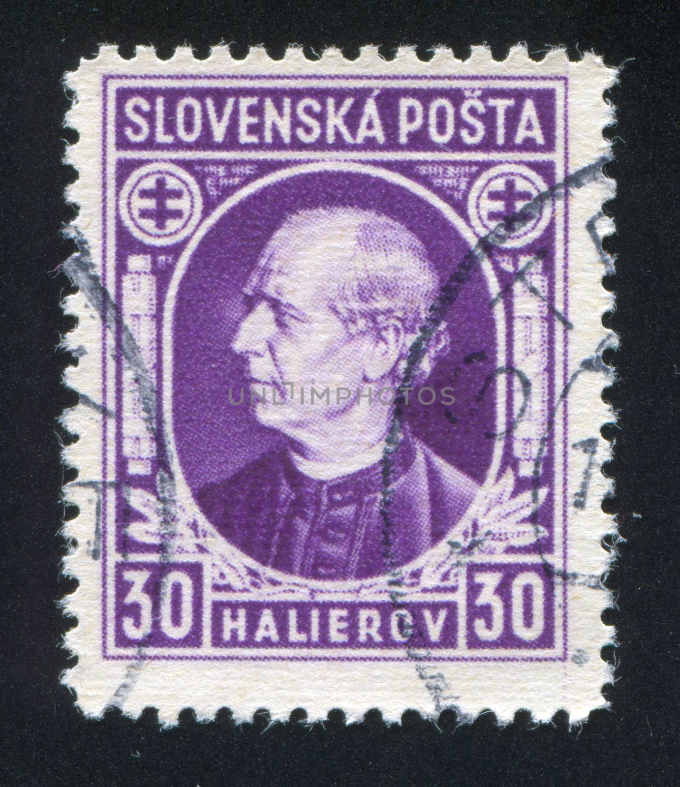 SLOVENIA - CIRCA 1939: stamp printed by Slovenia, shows Andrej Hlinka, circa 1939