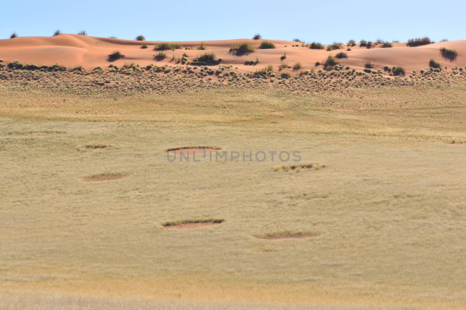Fairy circles near Sesriem on the way to Sossusvlei, Namibia