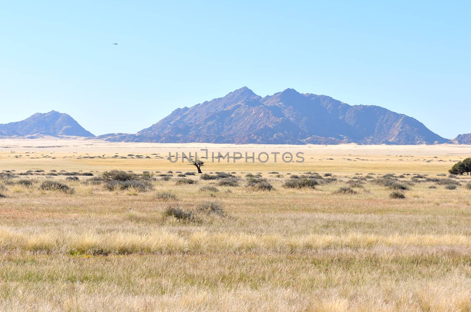 Grass and mountain landscape near Sesriem, Namibia