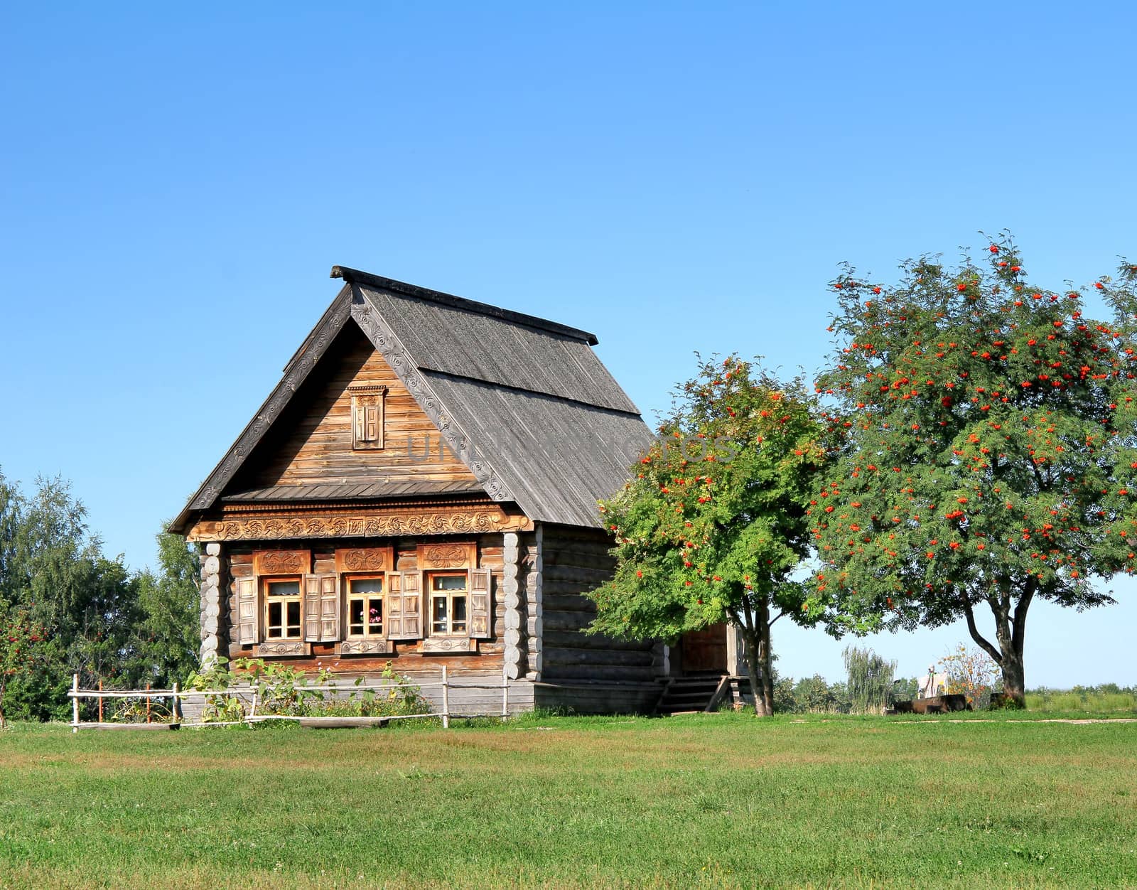 Old wooden house by Artzzz