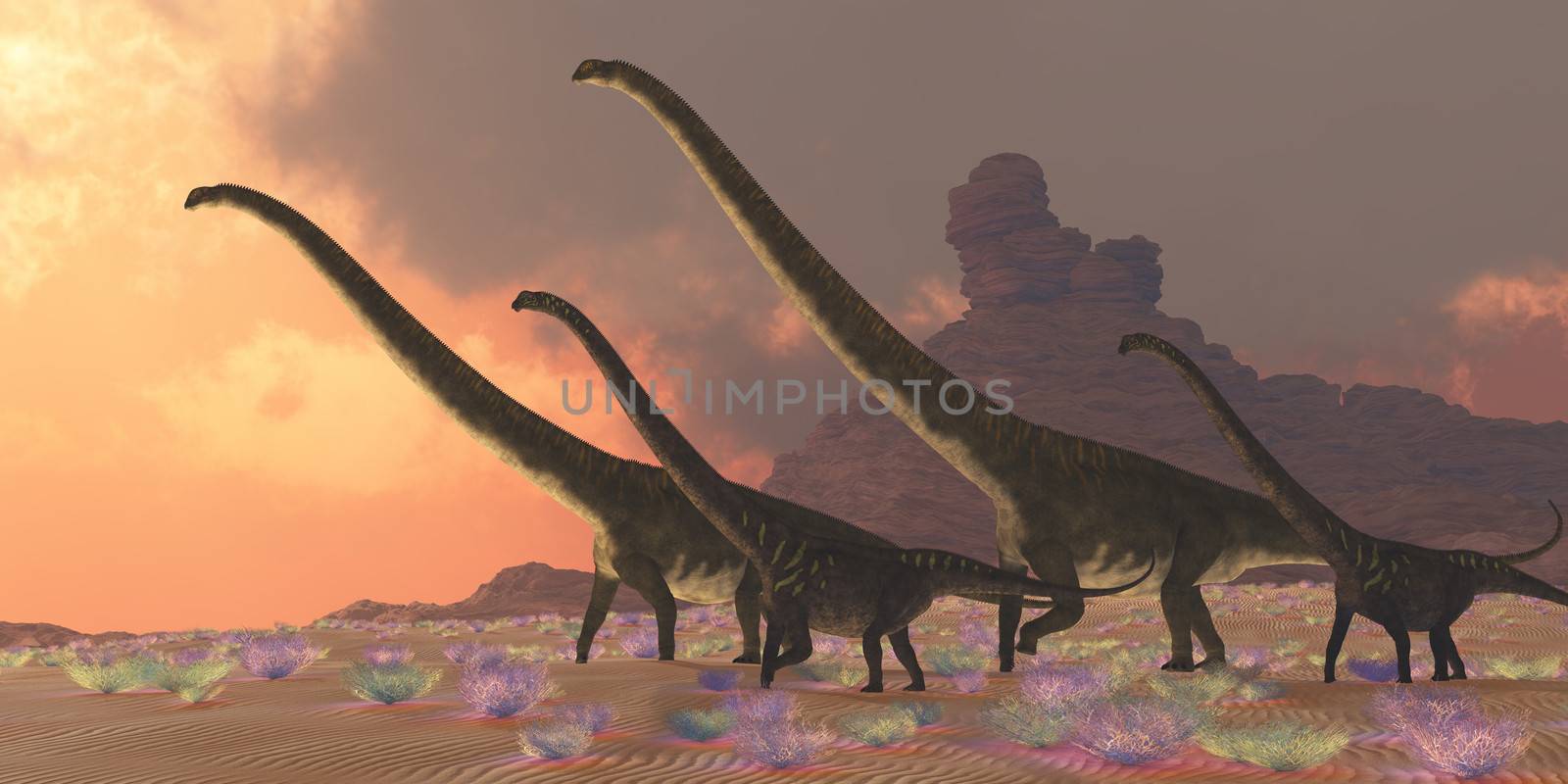 Two youngsters accompany two older adult Mamenchisaurus dinosaurs as they look for better vegetation to eat.