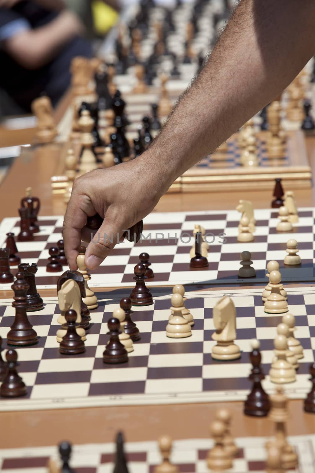 Chess player by wellphoto