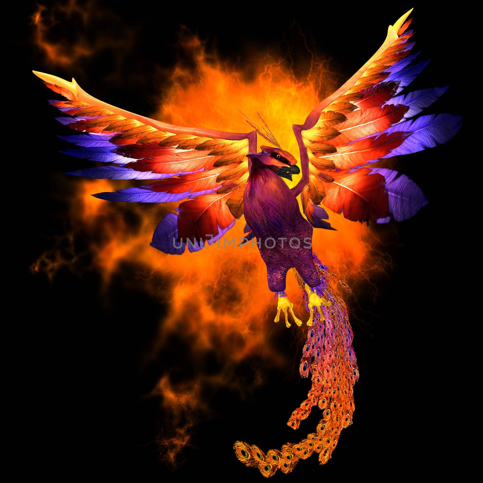 The Phoenix bird is a legend and symbol of renewal and new beginnings.