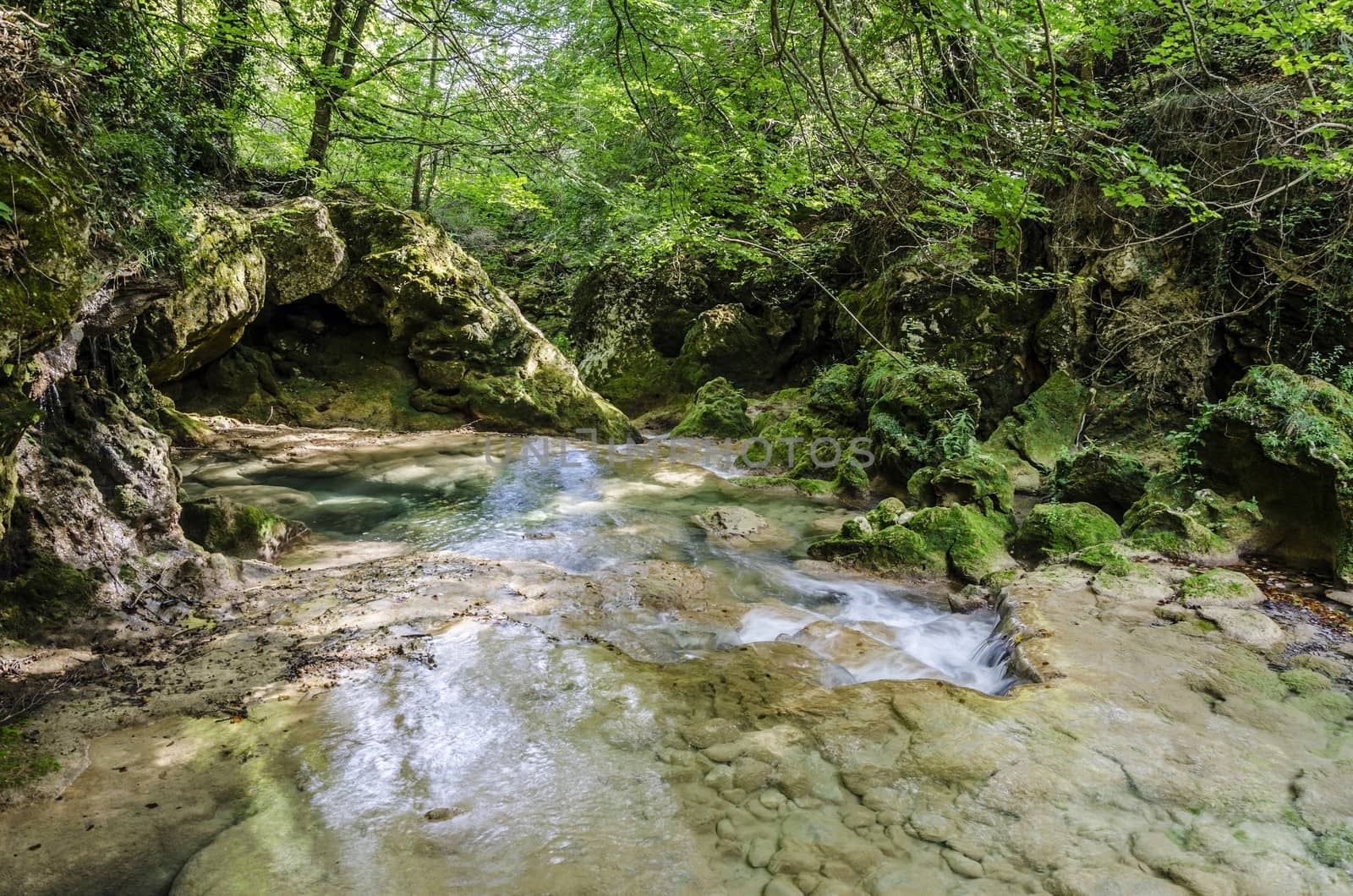 Beautiful river deep in to the Navarra's mountain in Spain.
