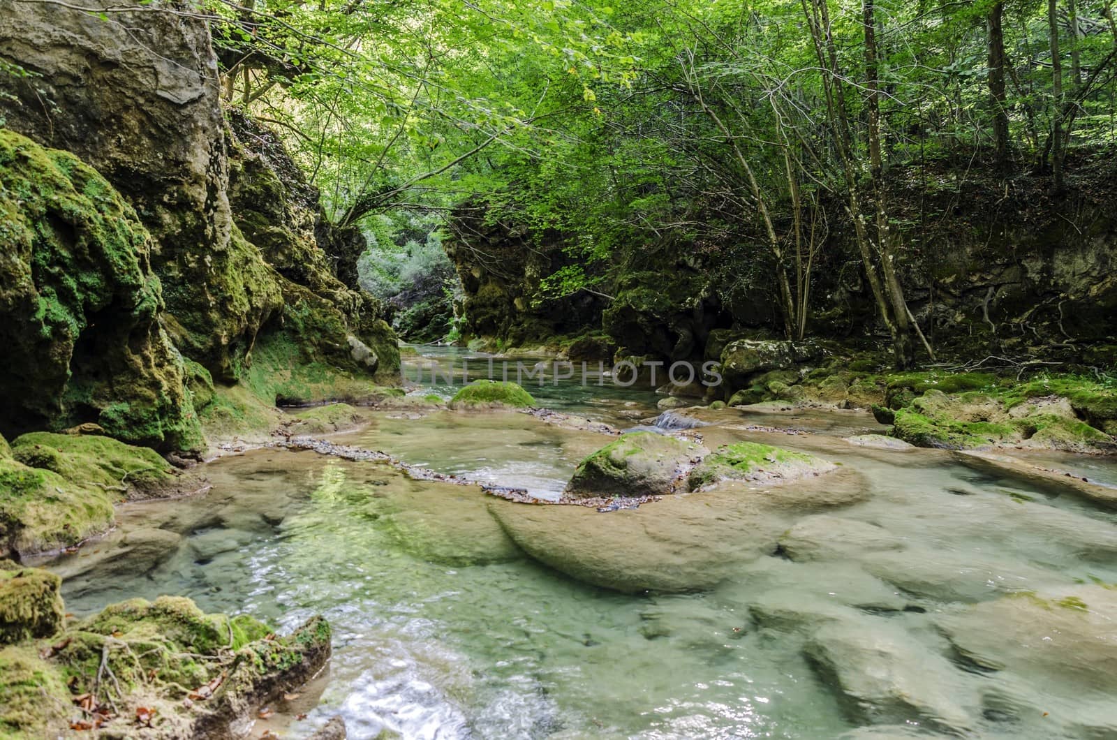 Beautiful river deep in to the Navarra's mountain in Spain.