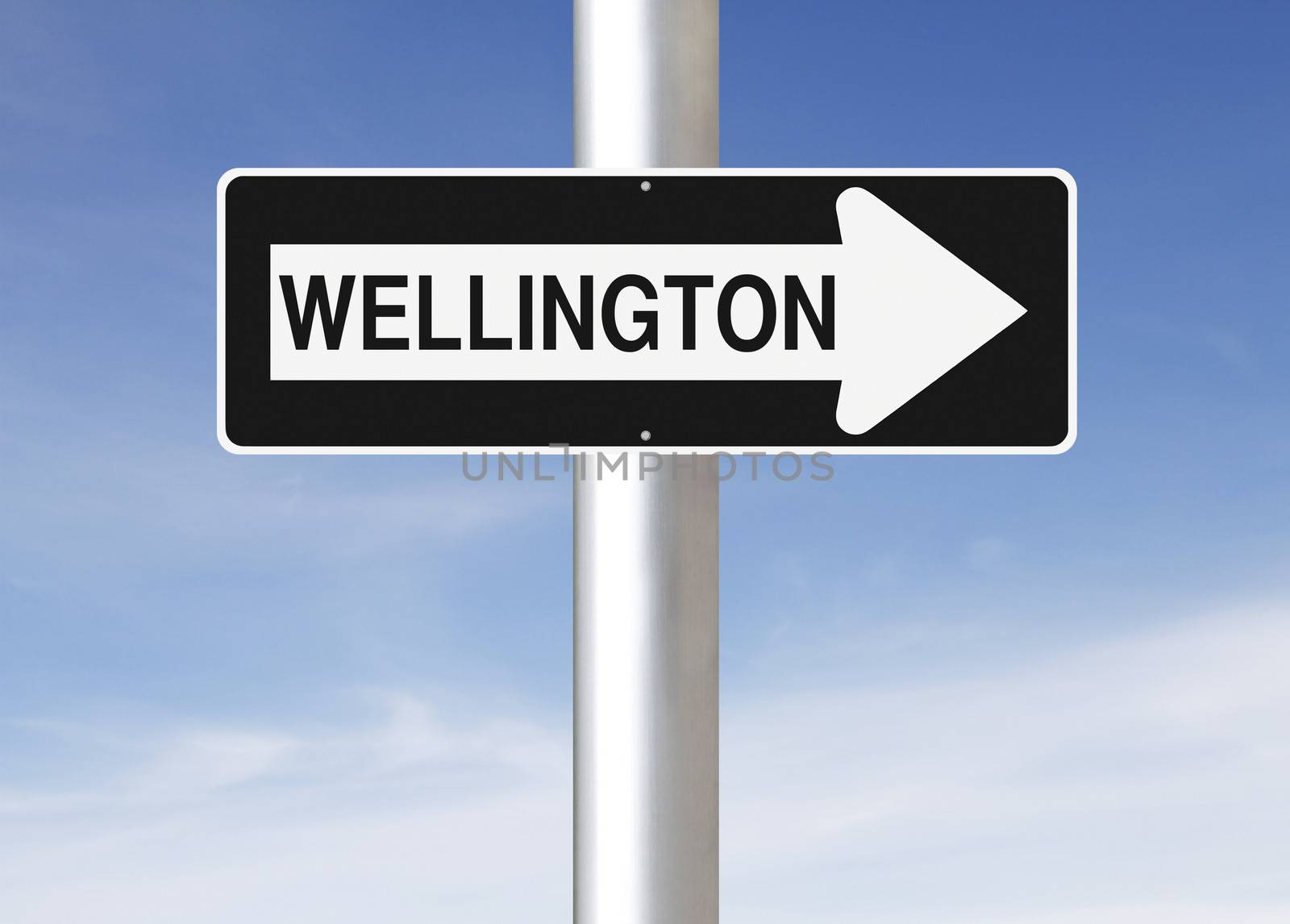 A modified one way sign indicating Wellington (New Zealand)