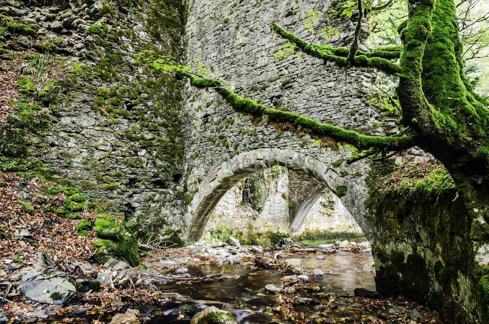 One long time ago forgotten factory deep in to the forest of Navarra in Spain.