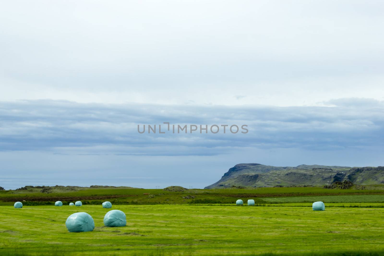 Icelandic Rural Landscape. Hay bales in white plastic on the mea by Tetyana