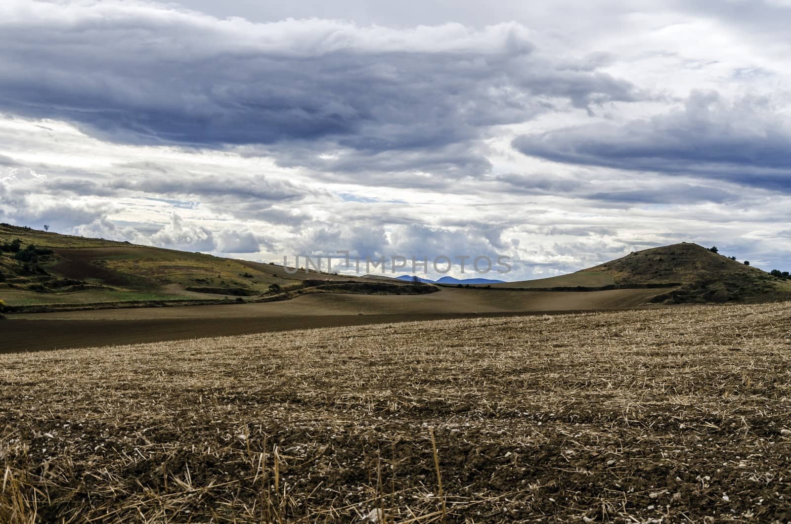 Looking at the Navarra's fields in Spain. With incredible sky and colors.