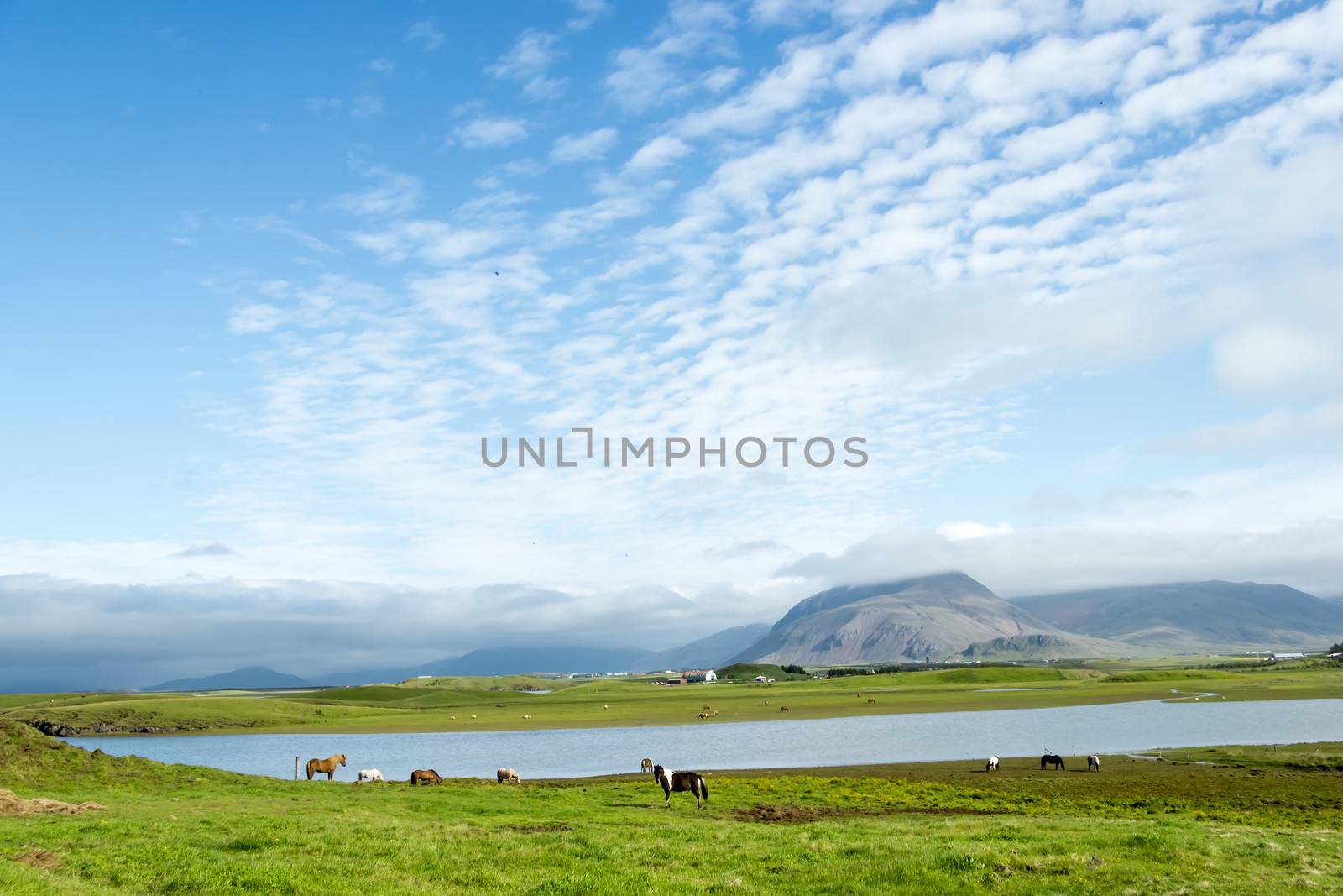 Beautiful lake against mountain background, Iceland, good summer by Tetyana