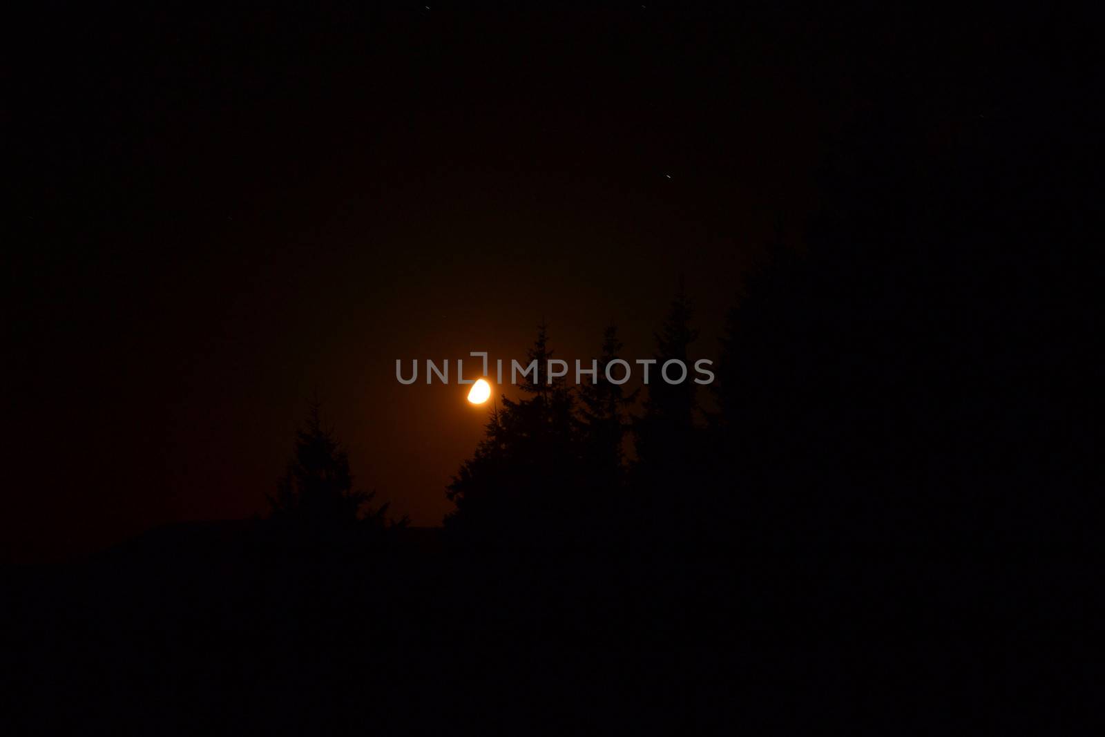 Black silhouette of a forest in the background of the moon by Irene1601