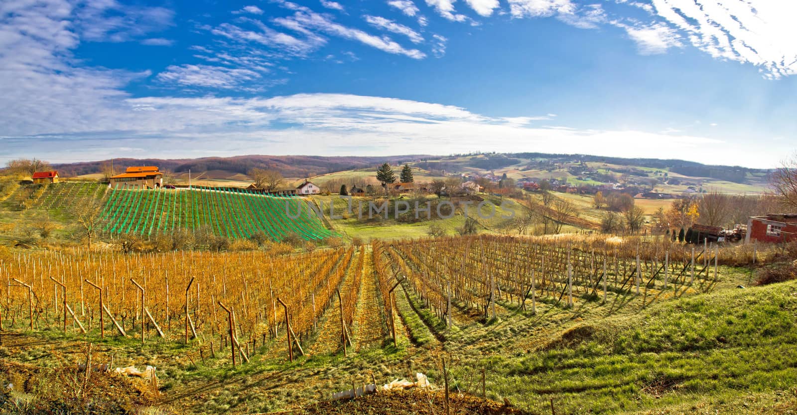 Bilogora region vineyard landscape panoramic view, Croatia