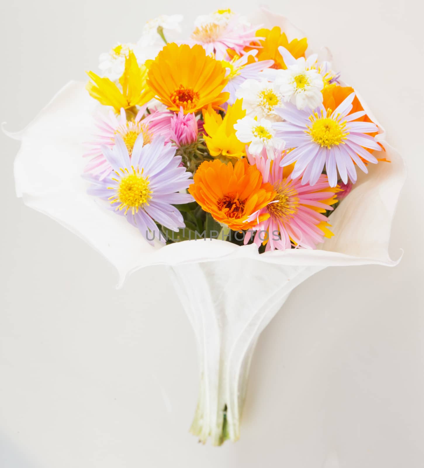 A Flowers bunch over a white background