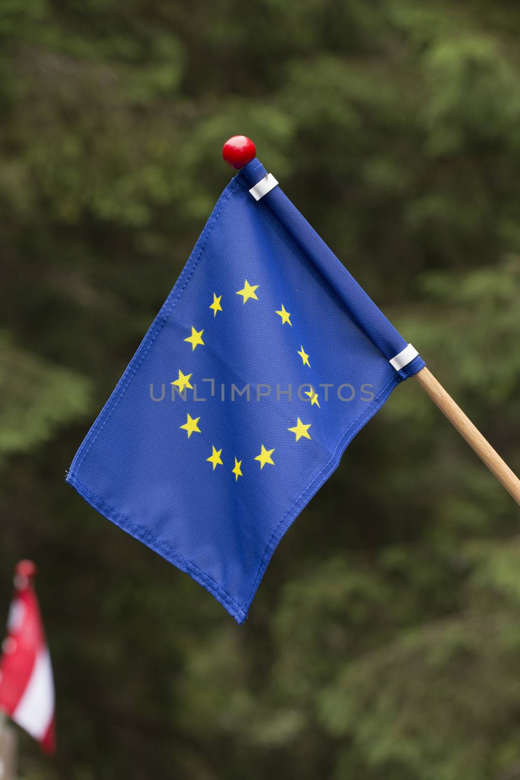 The banner of EU on the green background