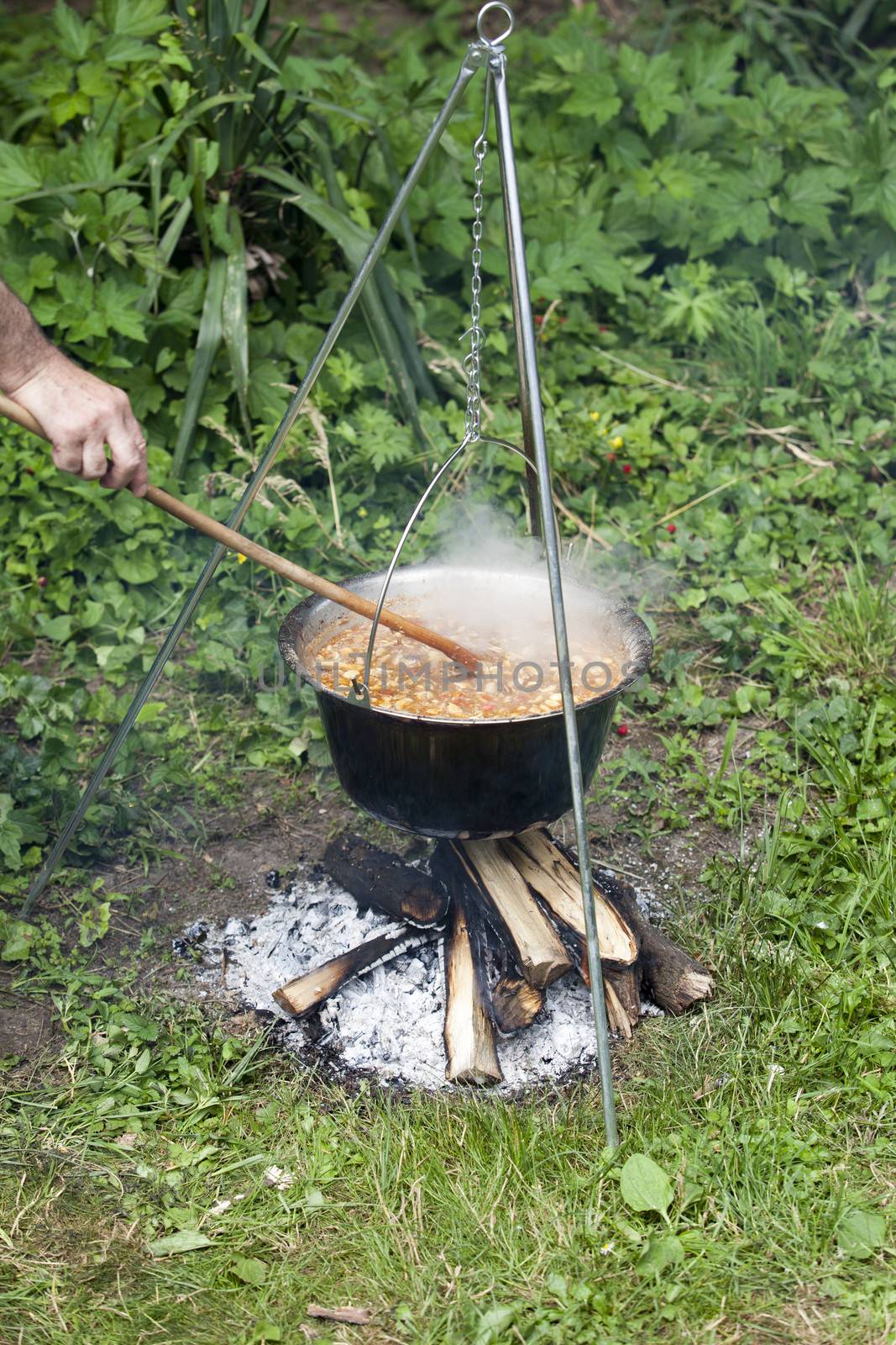 Cooking in the nature by wellphoto