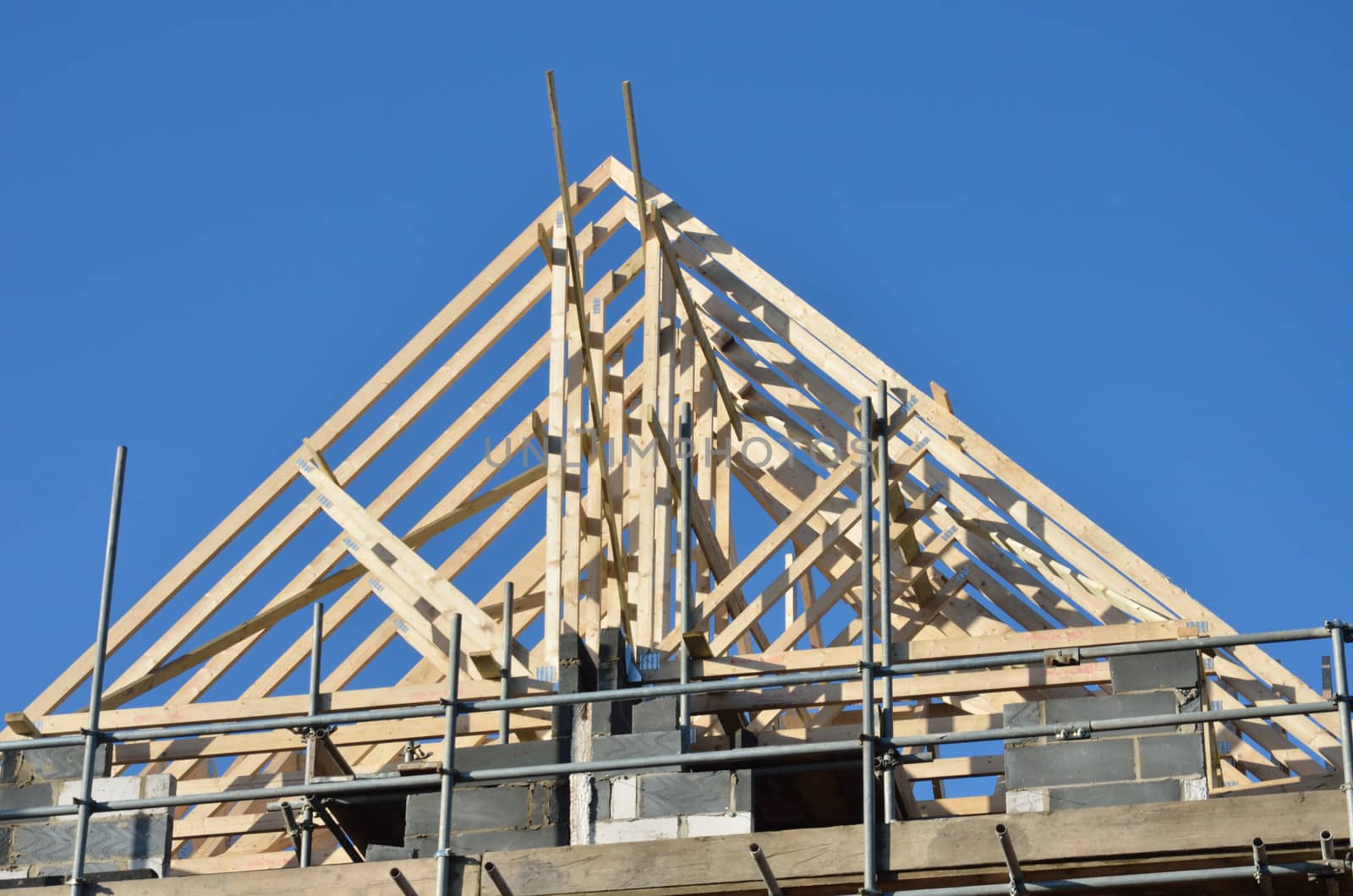 wooden apex roof under construction 