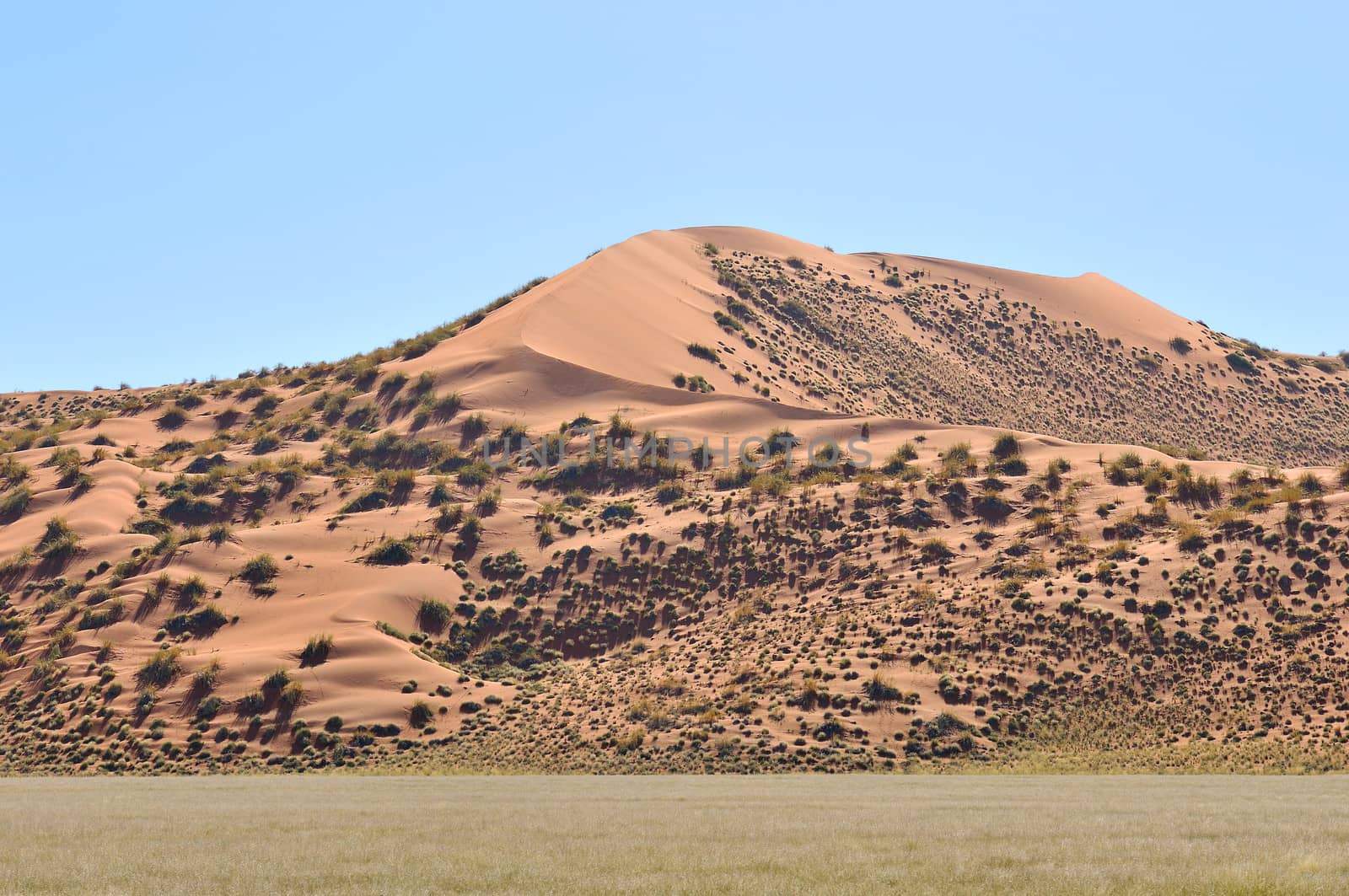 Dune landscape near Sesriem on the way to Sossusvlei, Namibia