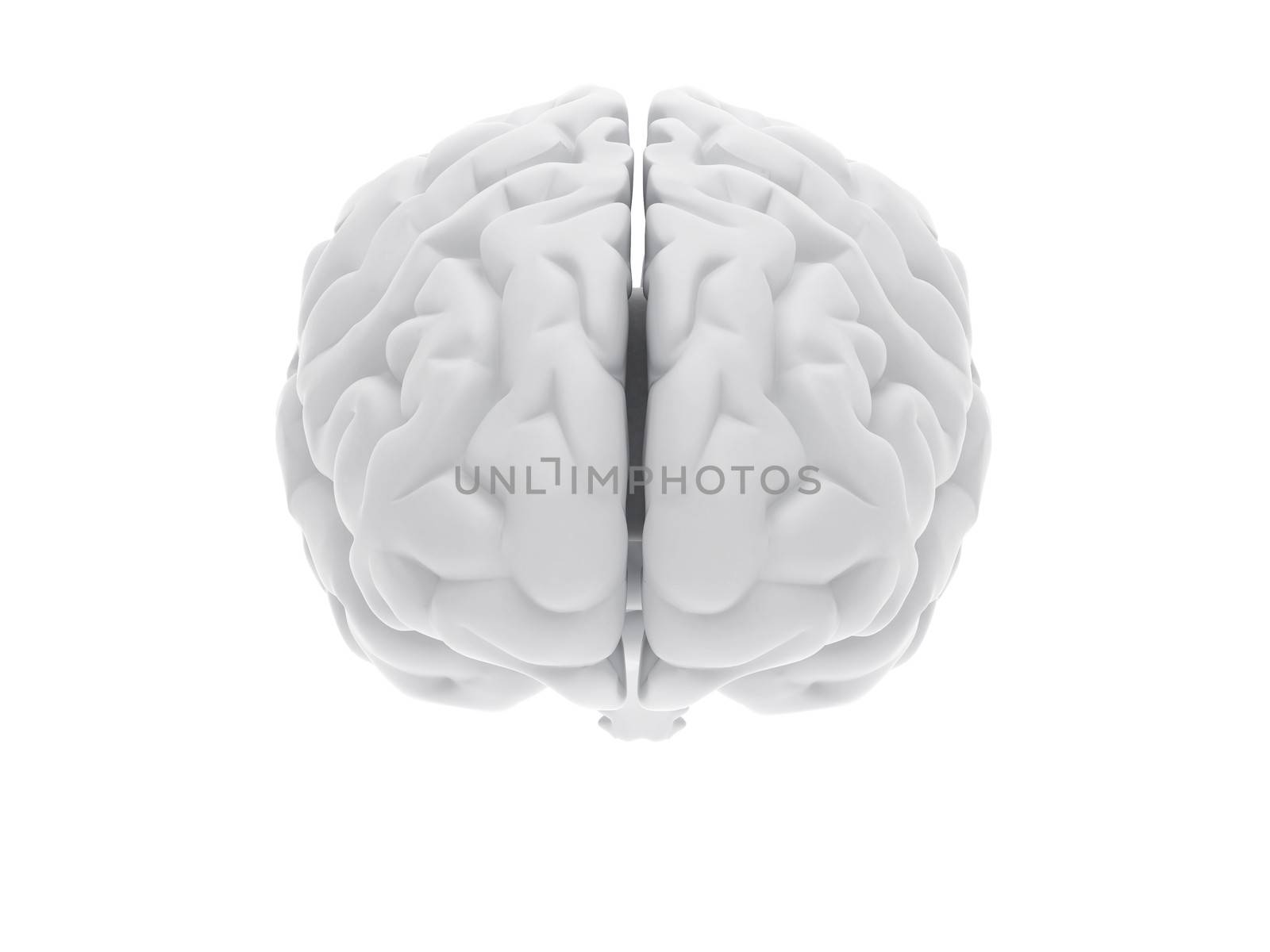 High resolution image. 3d rendered illustration. 3d human brain.