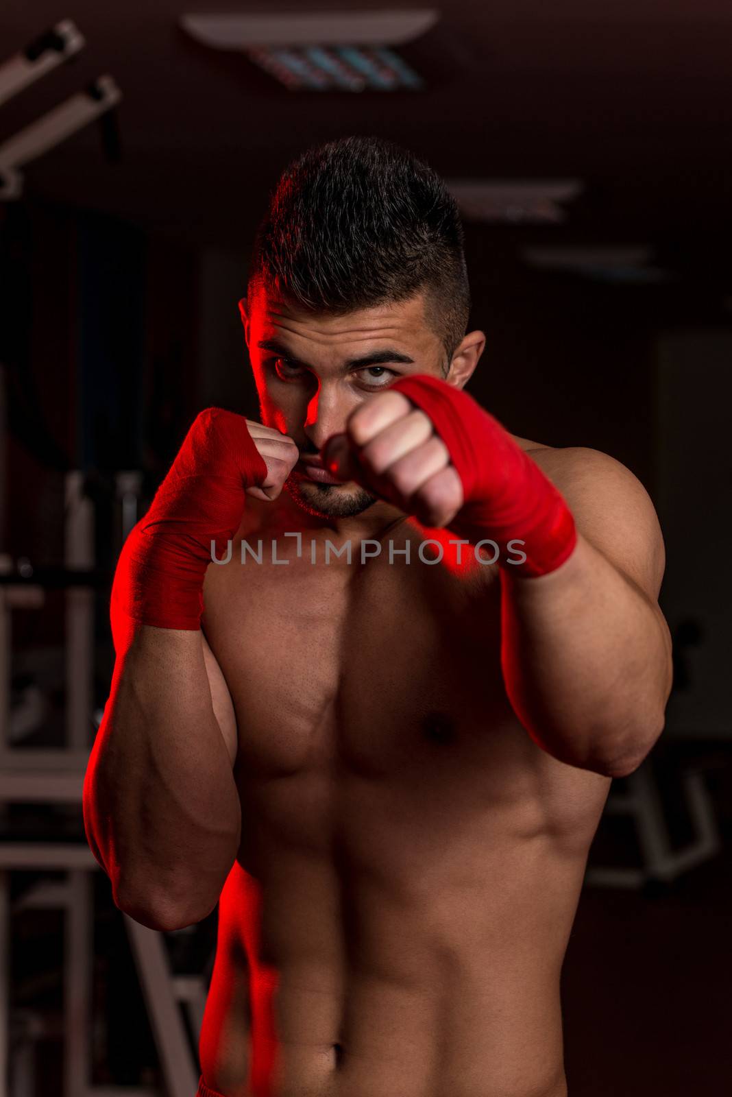 Mixed Martial Arts Fighter Ready To Fight by JalePhoto