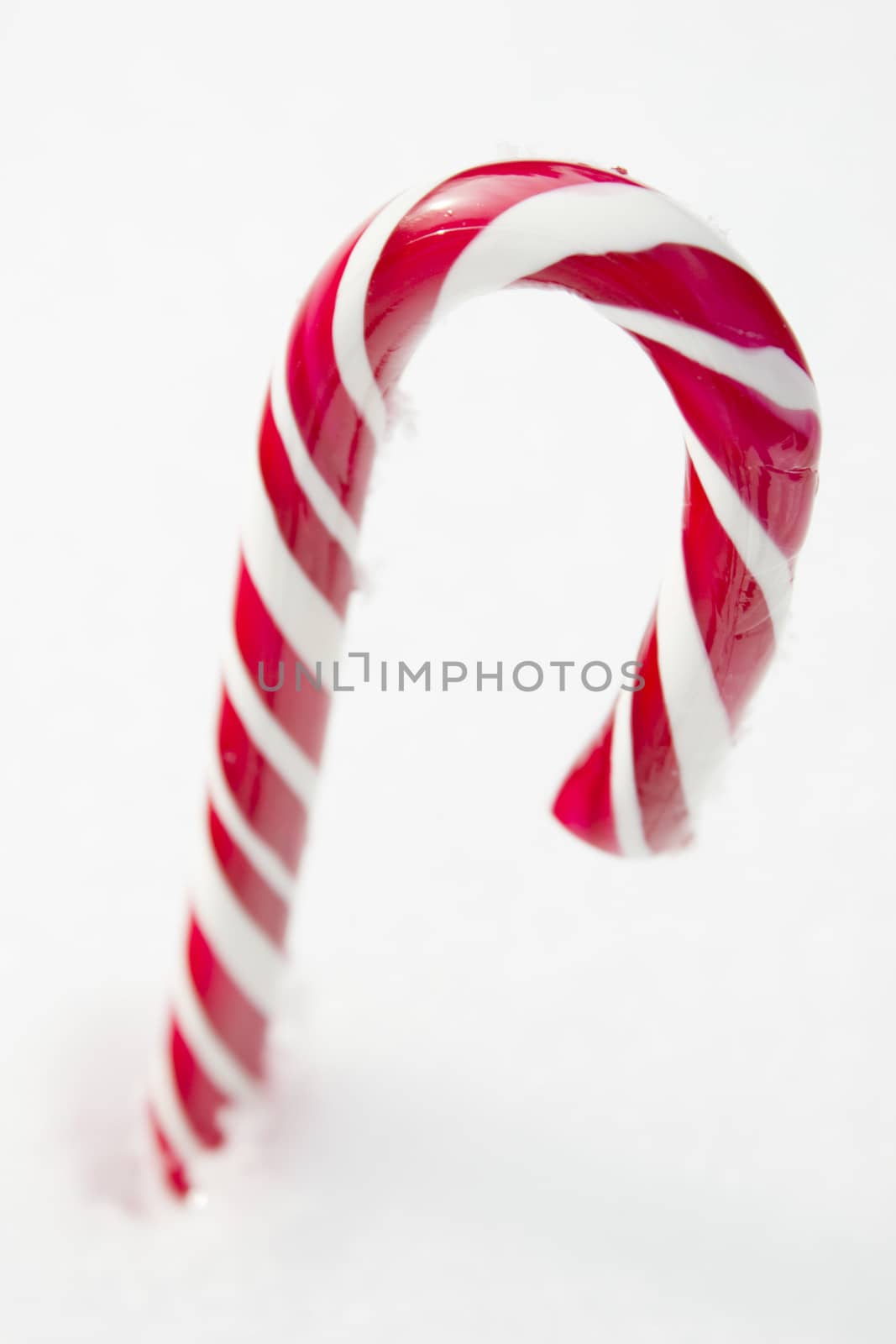 Sweet red and white candy cane lying in the snow.