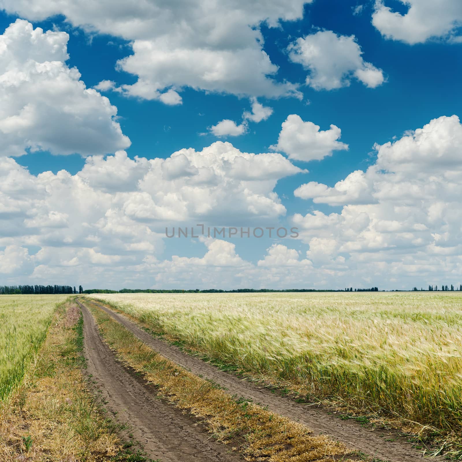 dramatic clouds over road in agriculture field by mycola