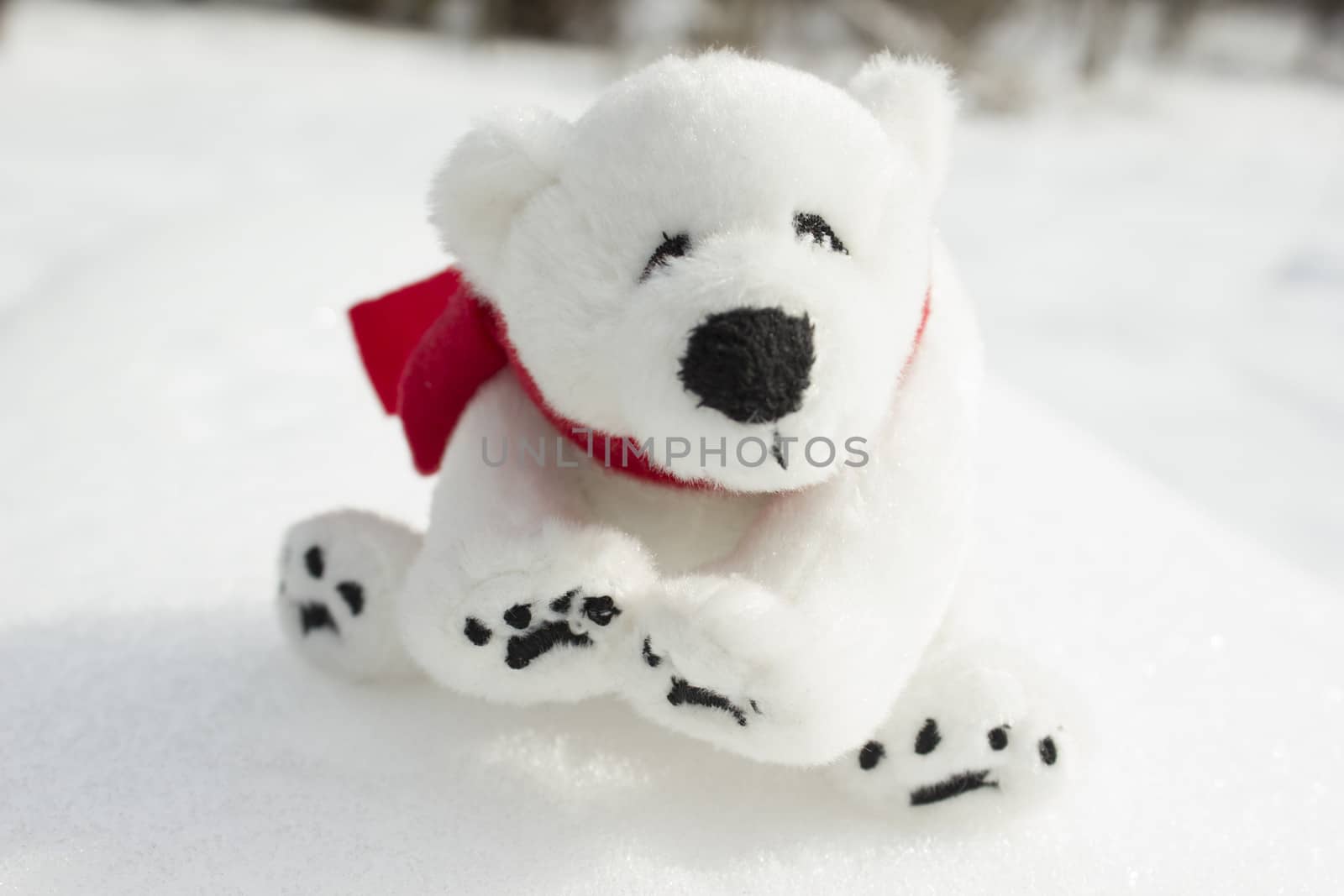 Toy teddy bear with red scarf sitting in the snow.
