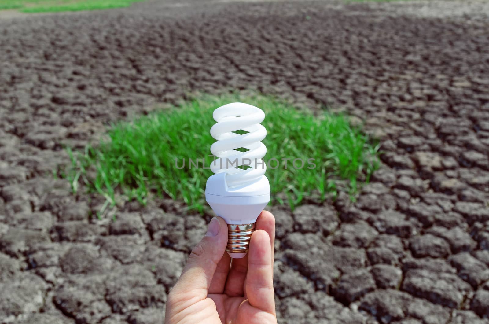 eco bulb in hand over desert and green grass by mycola