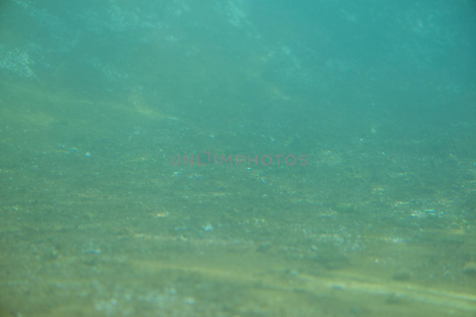 Green underwater pattern with dirt and dust as seen through glass