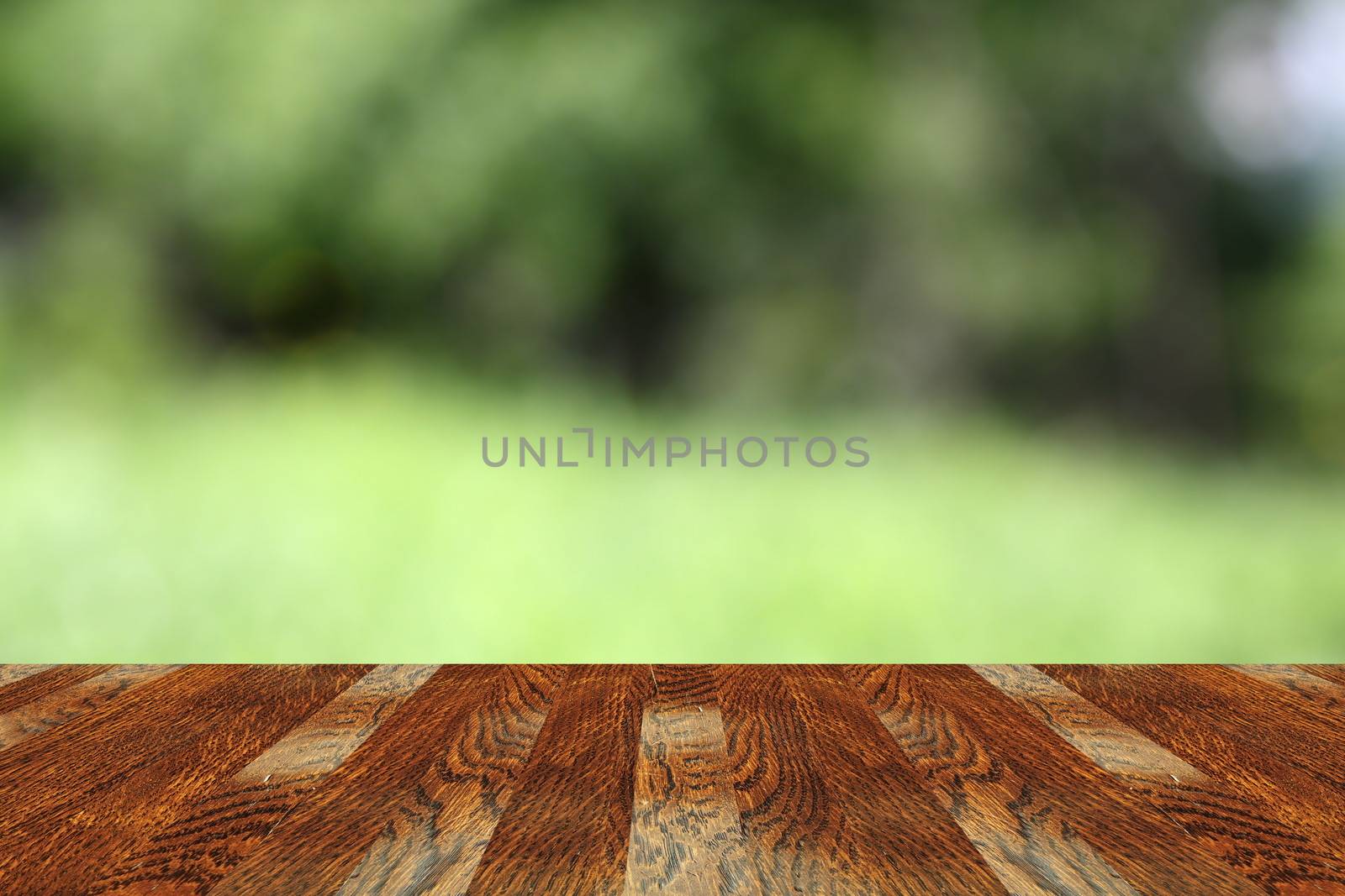 view to the green background from mahogany old wooden  terrace
