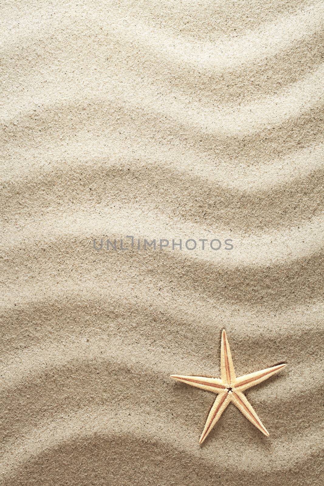 Sand by bozena_fulawka